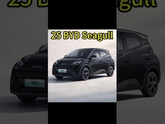 السيارات الكهربائية الصينية