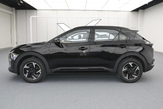نتا إكس SUV الكومباكت الكهربائية 163 حصان مع قاعدة عجلات 2770mm